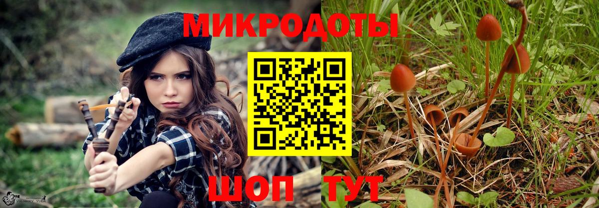 Волгодонск  что такое наркотик  Вход с VPN  Галлюциногенные грибы прущие грибы 